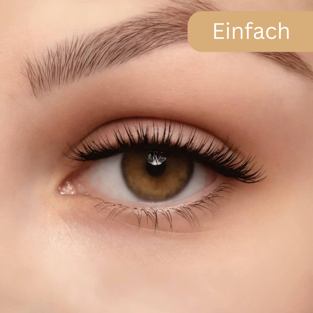 Starlash Magnetics™ | Einfache Schönheit, ohne Kleber (1+1 GRATIS)!
