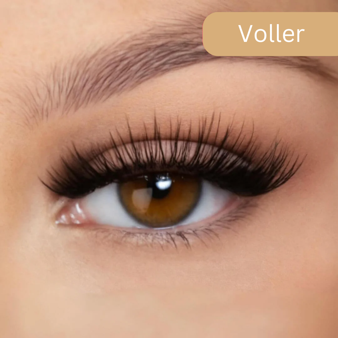 Starlash Magnetics™ | Einfache Schönheit, ohne Kleber (1+1 GRATIS)!